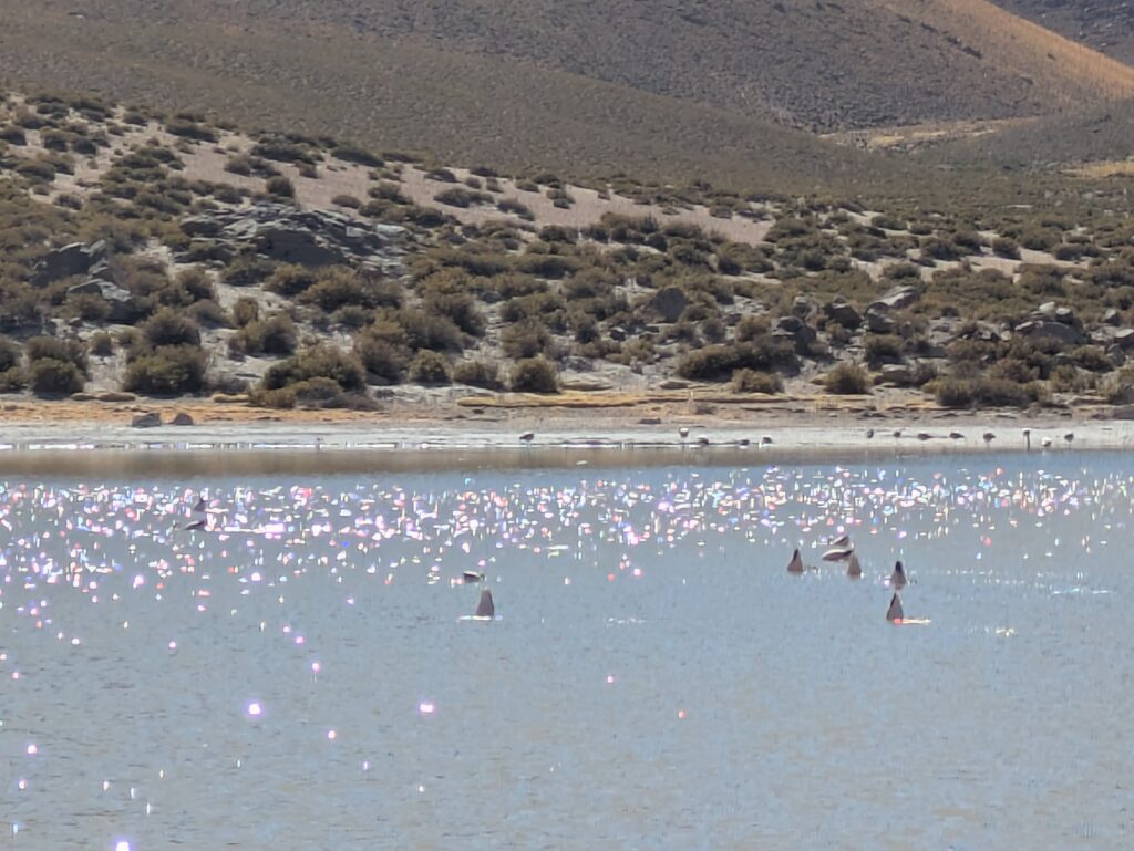 Chile Atacama 2
