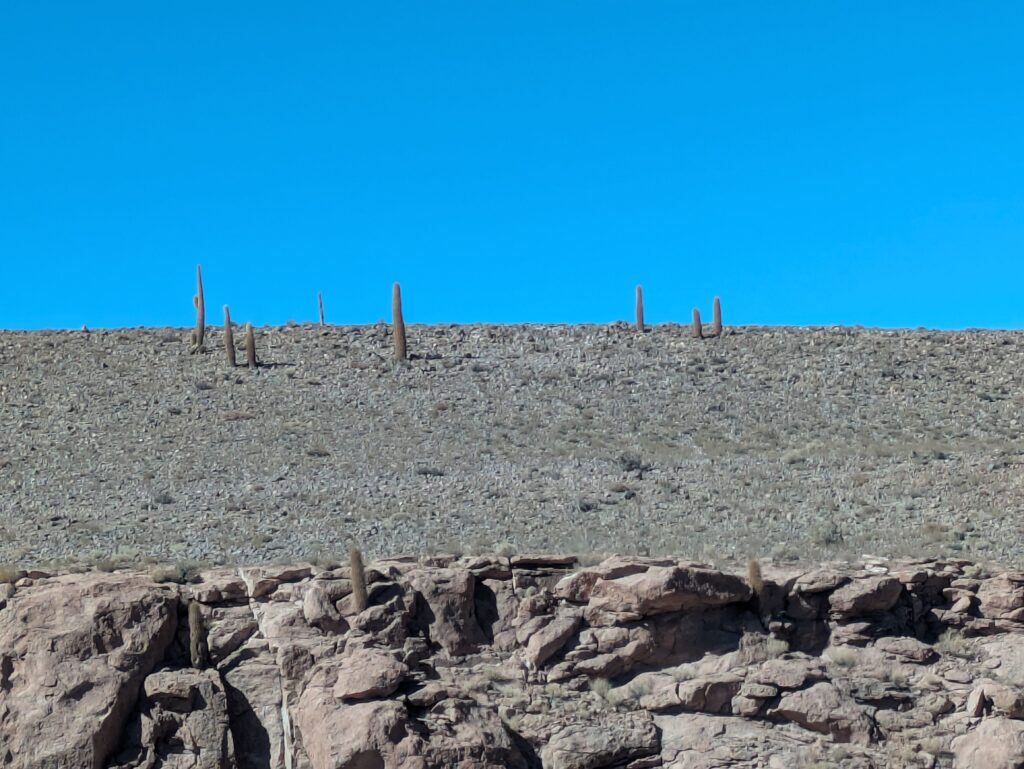 Chile Atacama
