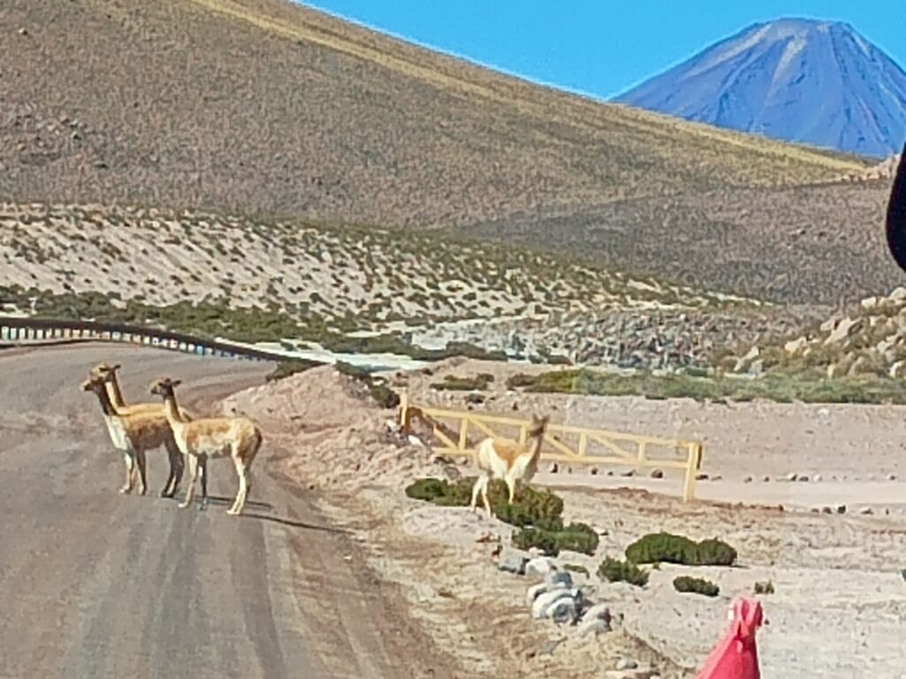 Chile Atacama 2
