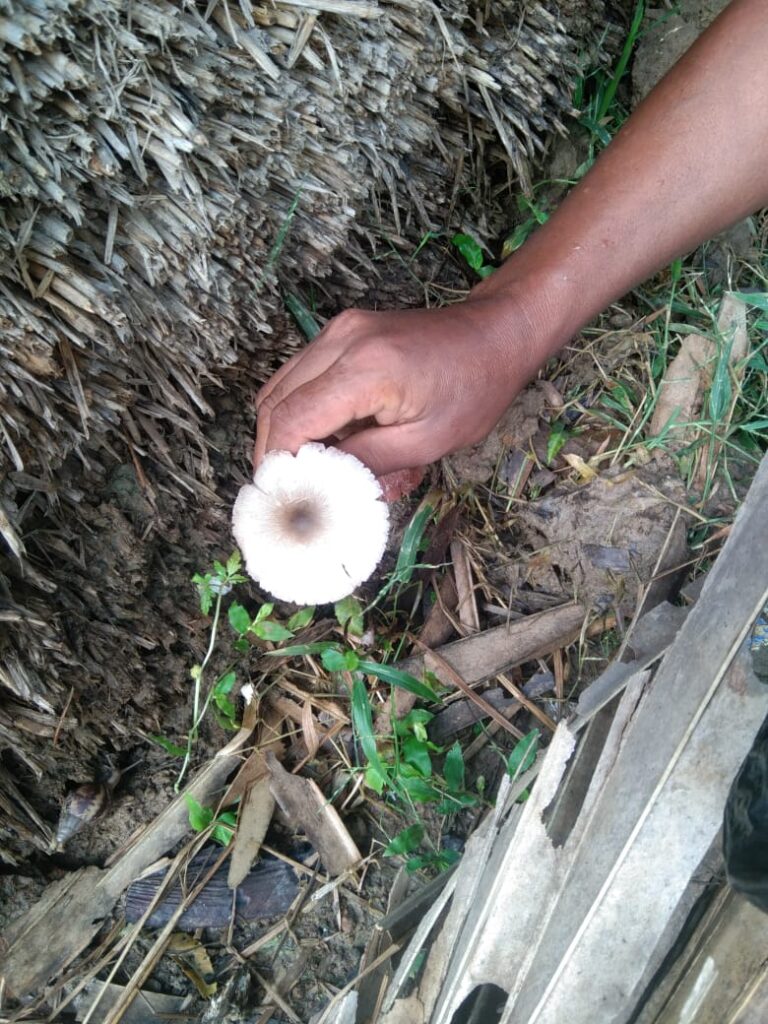 Rustic Cooking 29