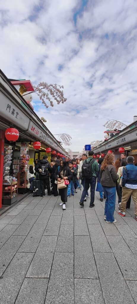 Japan Travel 1