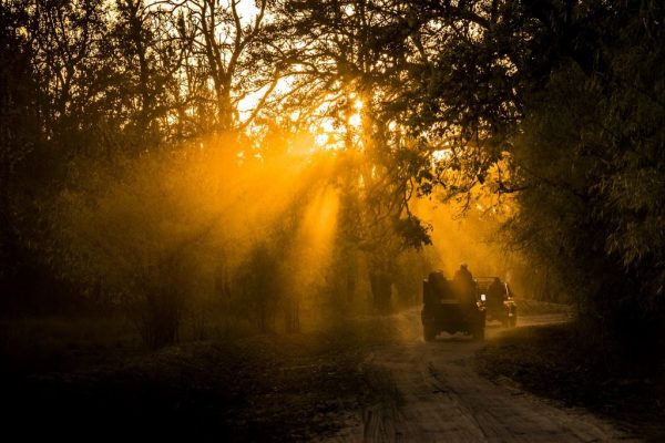 Jeep safari at Bandhavgarh