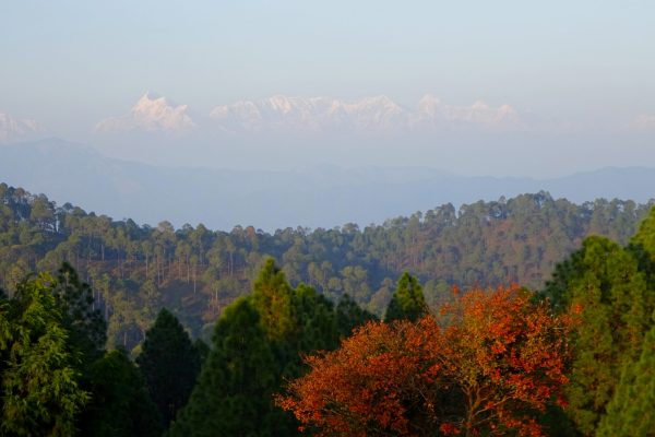 Himalayan peaks at Ranikhet