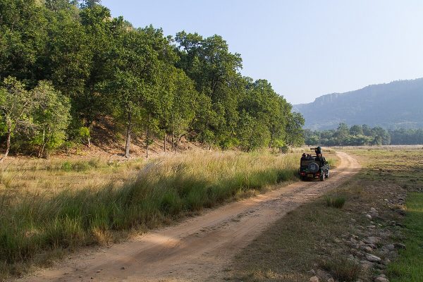 Grasslands_of_Bandhavgarh_National_Park